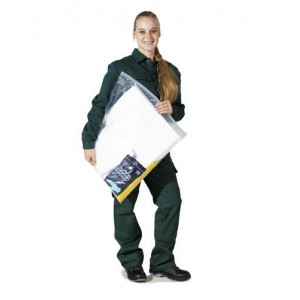 DENSORB komplet za ukrepanje ob razlitju olja, v prosojni vreči, z vpojnimi podlogami in blazinami